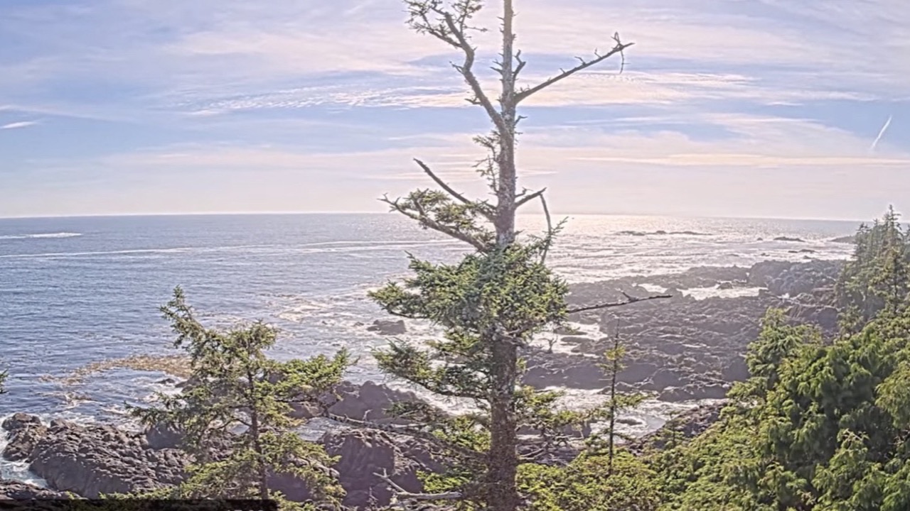 Black Rock Cam