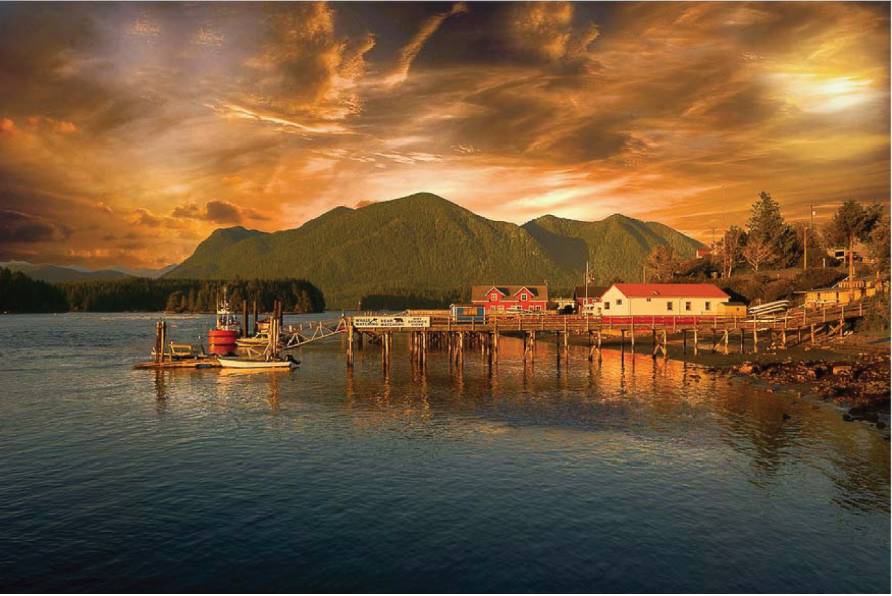 Tofino Sunset Cam